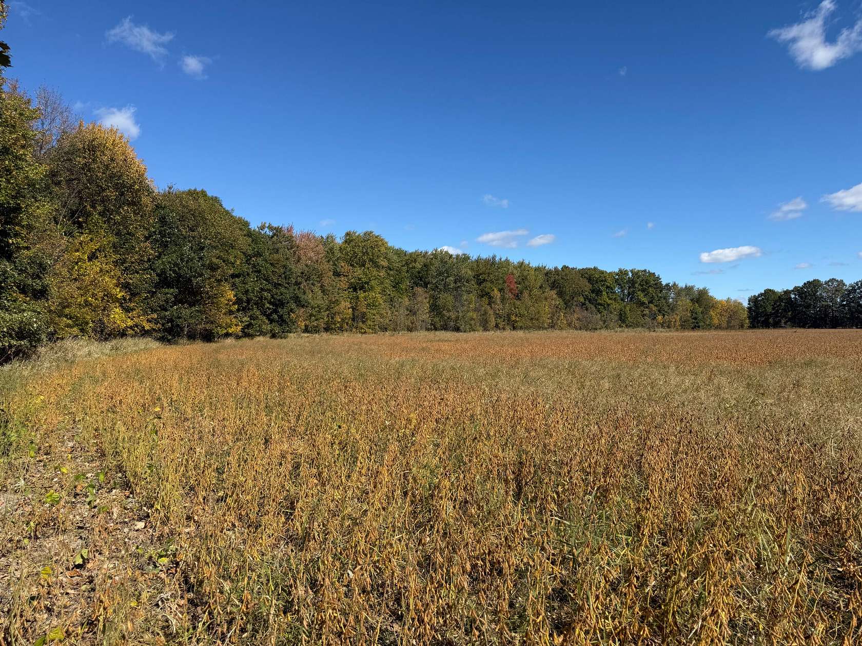 60.7 Acres of Land for Sale in Allenton, Michigan