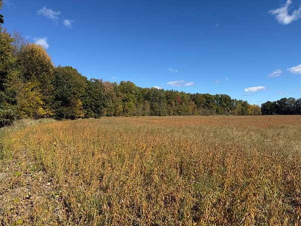 60.7 Acres of Land for Sale in Allenton, Michigan