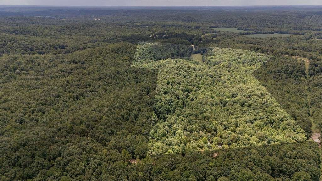 23 Acres of Recreational & Residential Land for Sale in Olivehill, Tennessee
