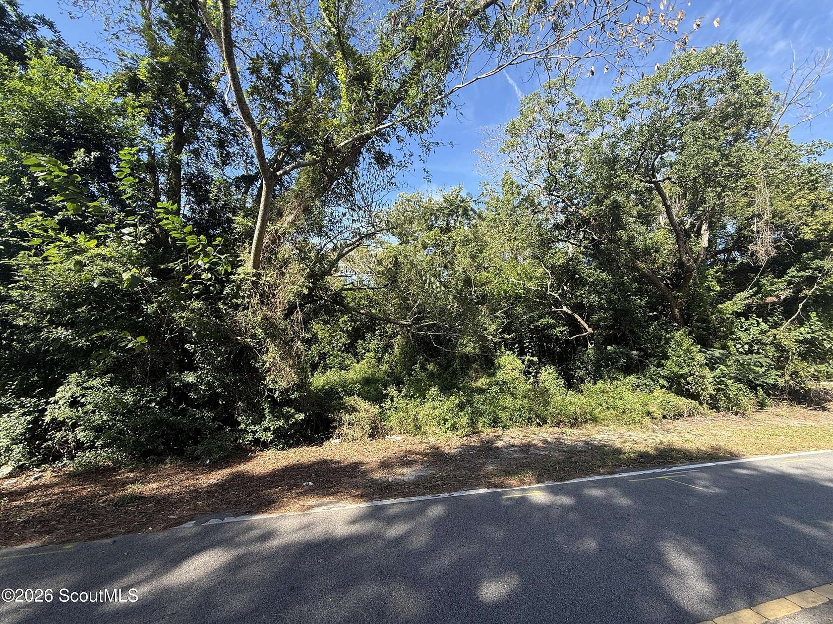 0.59 Acres of Residential Land for Sale in Blackshear, Georgia