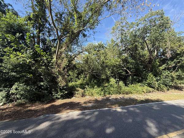 0.59 Acres of Residential Land for Sale in Blackshear, Georgia
