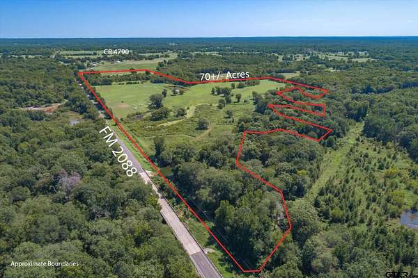 72.3 Acres of Land for Sale in Winnsboro, Texas