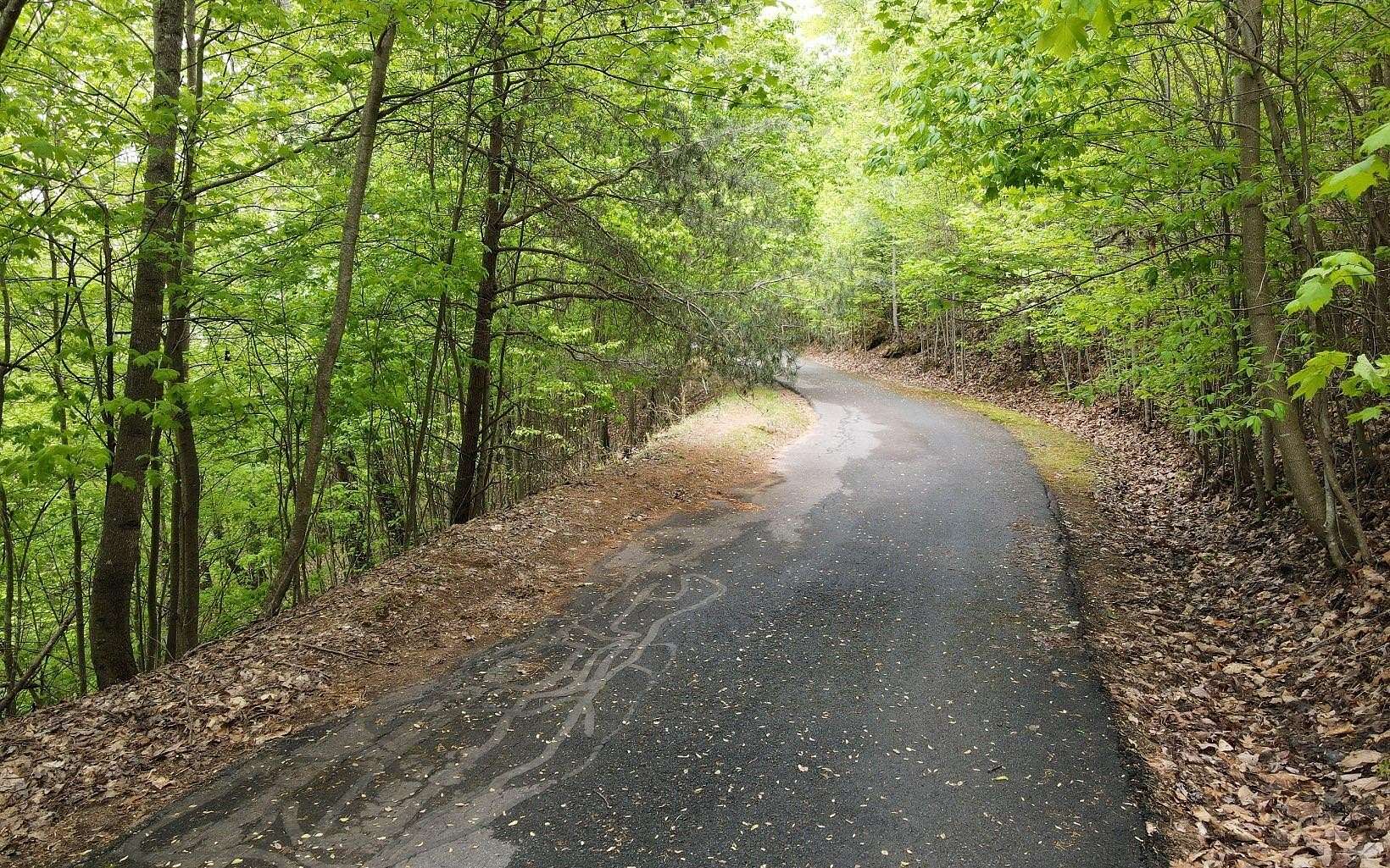 1.75 Acres of Residential Land for Sale in Blairsville, Georgia