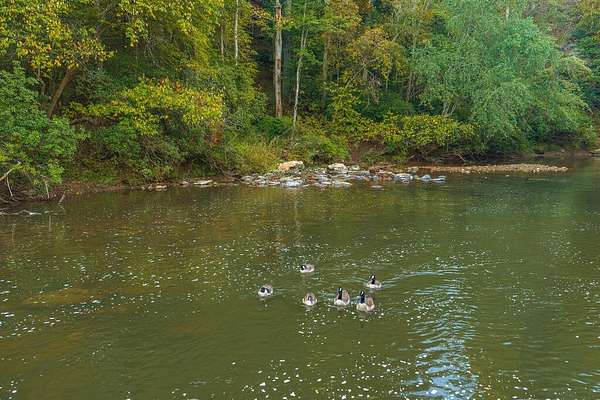 1.68 Acres of Residential Land for Sale in Ellijay, Georgia