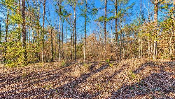 0.12 Acres of Residential Land for Sale in Salem, Alabama