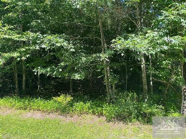 24.6 Acres of Land for Sale in Clear Fork, Virginia