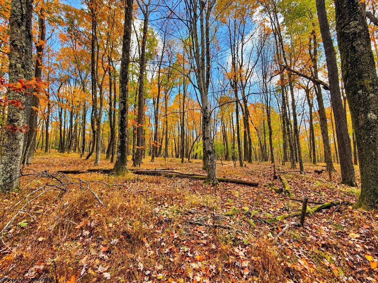 0.38 Acres of Residential Land for Sale in Terra Alta, West Virginia