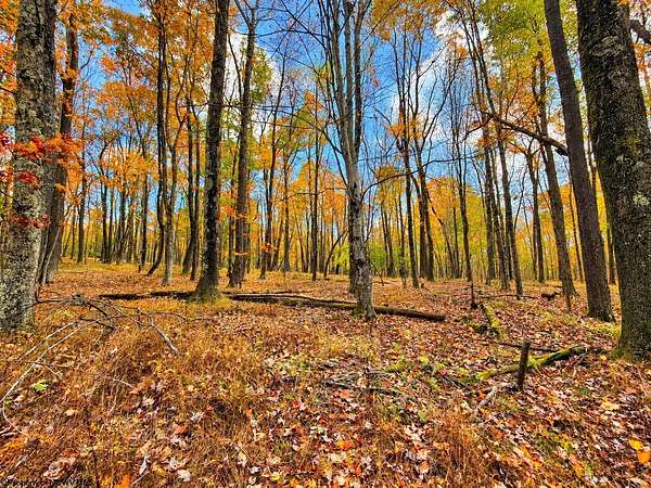 0.38 Acres of Residential Land for Sale in Terra Alta, West Virginia