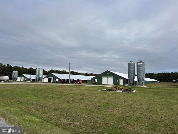 55.5 Acres of Agricultural Land with Home for Sale in East New Market, Maryland