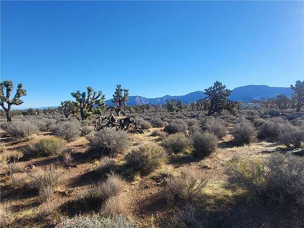 1 Acre of Mixed-Use Land for Sale in Meadview, Arizona