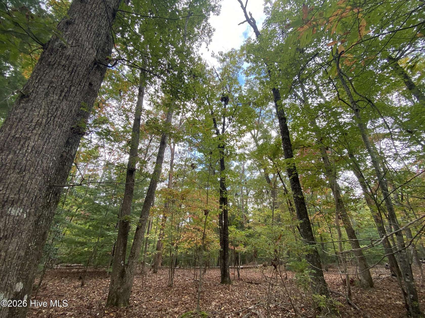 3 Acres of Residential Land for Sale in Hayesville, North Carolina