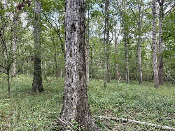 160 Acres of Recreational Land for Sale in Camden, Mississippi