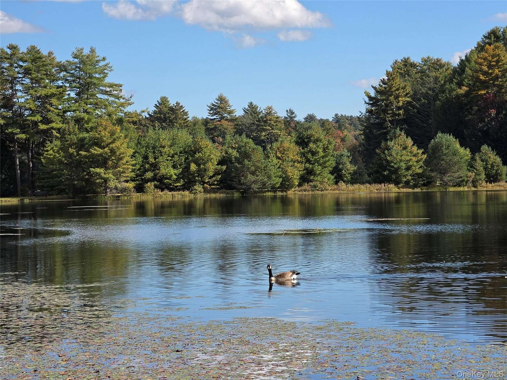 7.18 Acres of Residential Land for Sale in White Lake, New York