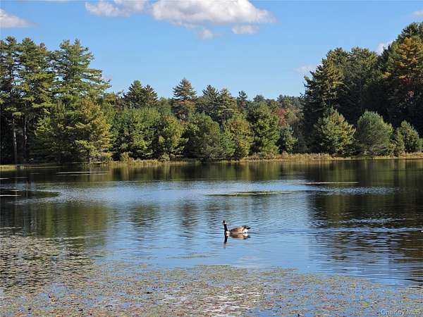 7.18 Acres of Residential Land for Sale in White Lake, New York