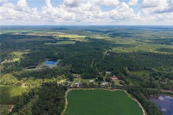 41.7 Acres of Land for Sale in Sylvania, Georgia
