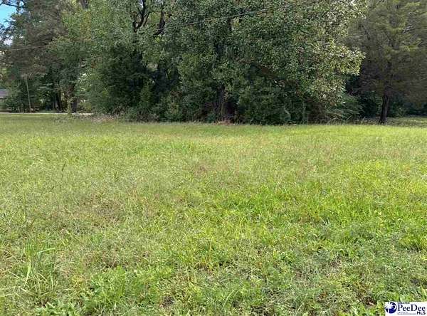 0.18 Acres of Land for Sale in Hartsville, South Carolina
