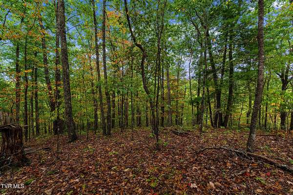 34.7 Acres of Recreational & Residential Land for Sale in Elizabethton, Tennessee