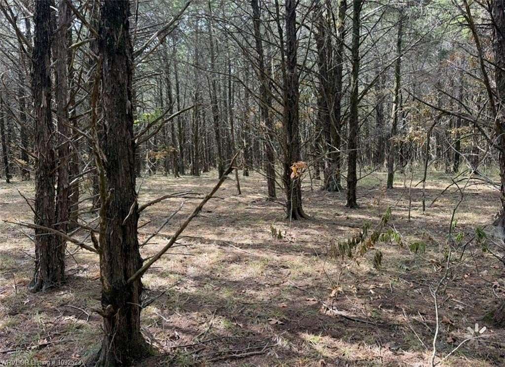 30 Acres of Recreational & Residential Land for Sale in Wilburton, Oklahoma