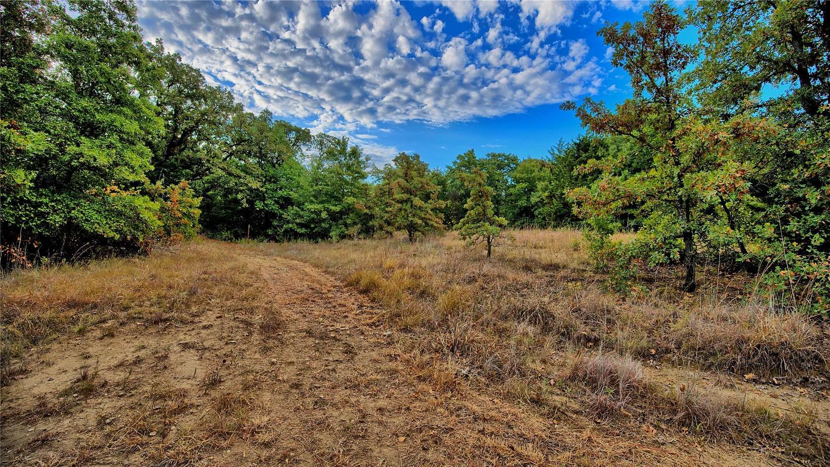 2.8 Acres of Residential Land for Sale in St. Jo, Texas