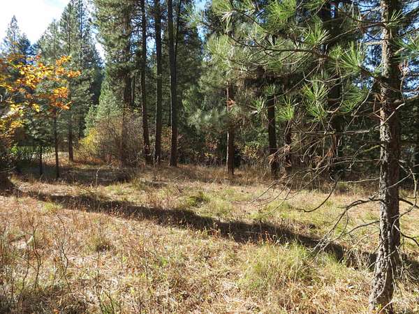 1 Acre of Residential Land for Sale in Garden Valley, Idaho