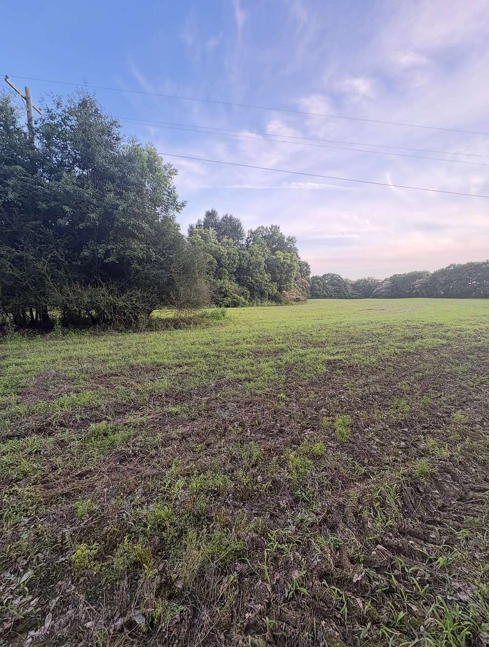 30 Acres of Recreational & Residential Land for Sale in McDavid, Florida