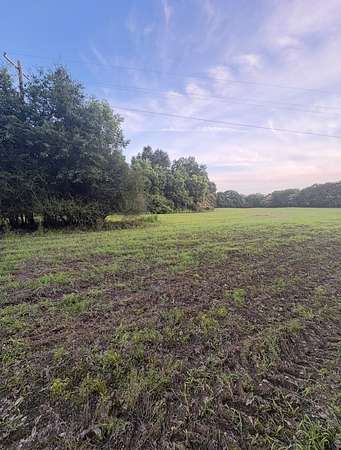 30 Acres of Recreational & Residential Land for Sale in McDavid, Florida