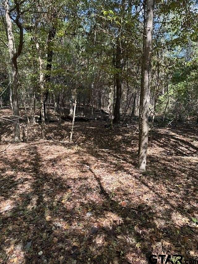8.6 Acres of Residential Land for Sale in Gilmer, Texas