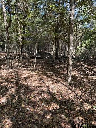 8.6 Acres of Residential Land for Sale in Gilmer, Texas