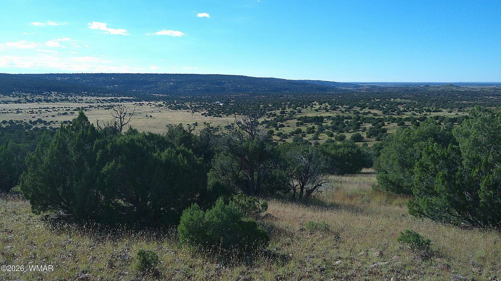 36.4 Acres of Land for Sale in Concho, Arizona