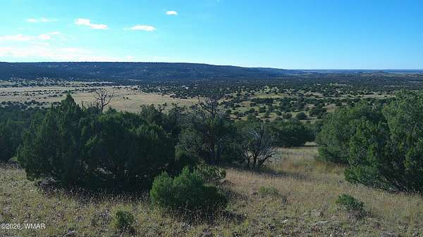 36.4 Acres of Land for Sale in Concho, Arizona
