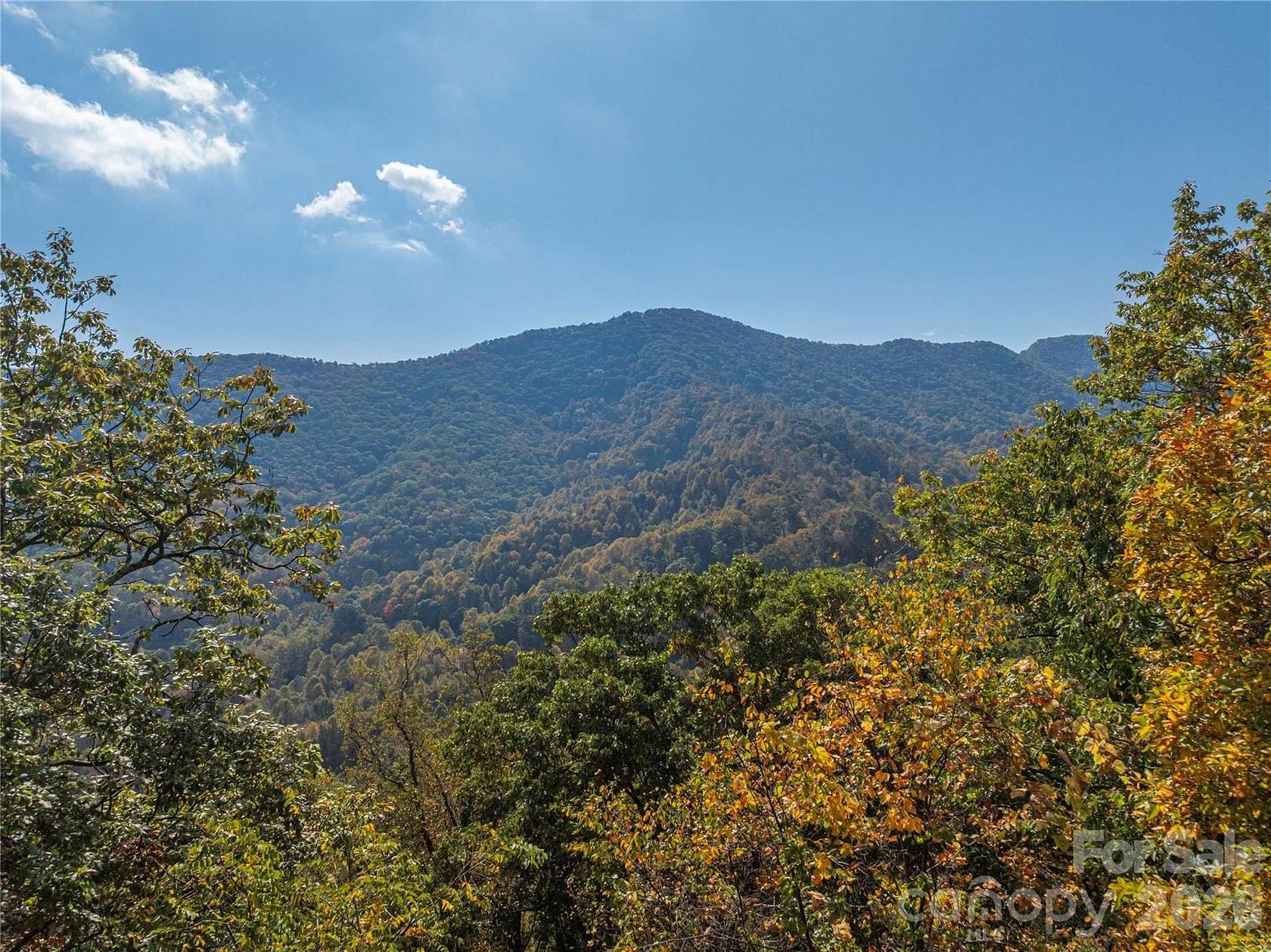 10 Acres of Land for Sale in Canton, North Carolina