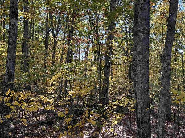 0.71 Acres of Residential Land for Sale in Moultonborough, New Hampshire