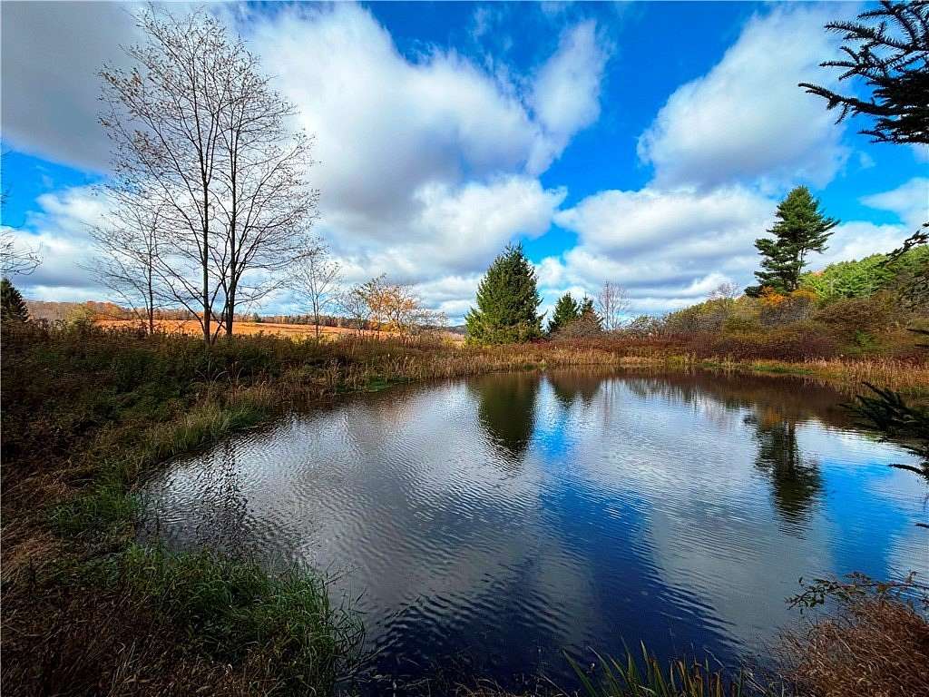 37.8 Acres of Land with Home for Sale in Sherburne, New York