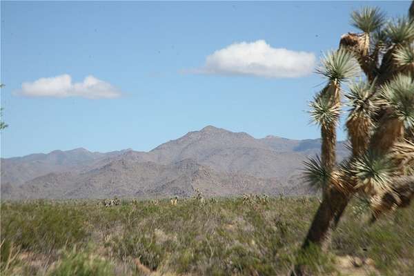 40 Acres of Agricultural & Residential Land for Sale in Yucca, Arizona