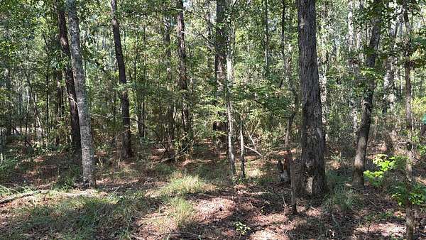 15 Acres of Mixed-Use Land for Sale in Hornbeck, Louisiana