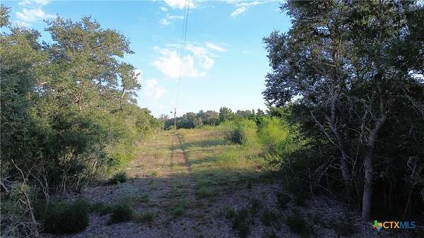 28.8 Acres of Recreational & Residential Land for Sale in Moulton, Texas