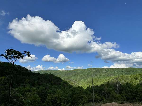 66 Acres of Recreational & Residential Land for Sale in Caldwell, West Virginia