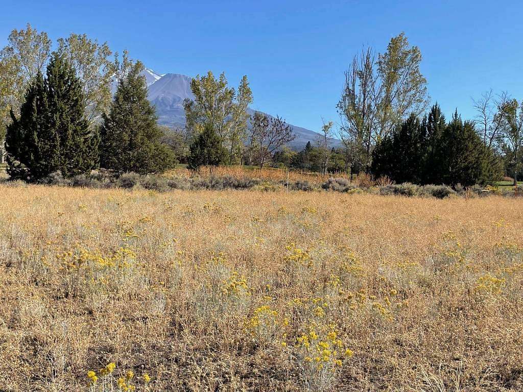 0.35 Acres of Residential Land for Sale in Weed, California