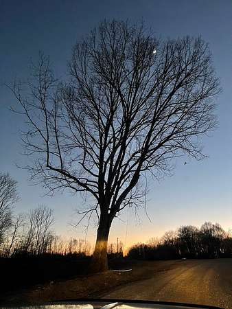 1.32 Acres of Residential Land for Sale in Smithville, Tennessee