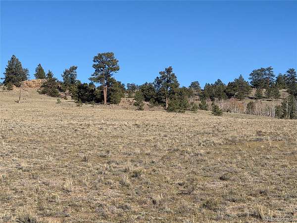 5 Acres of Land for Sale in Hartsel, Colorado