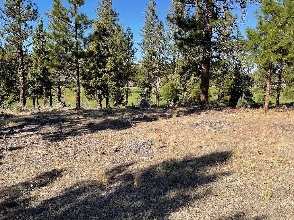 0.25 Acres of Residential Land for Sale in Weed, California
