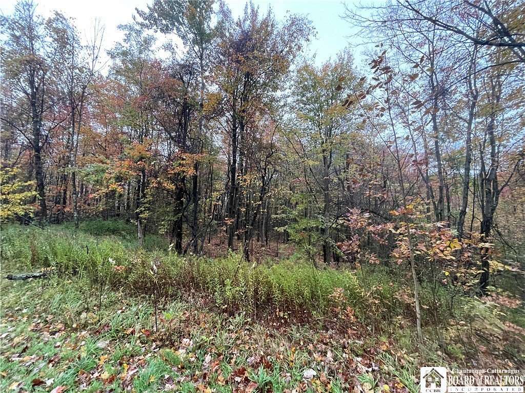 5 Acres of Land for Sale in Cassadaga, New York