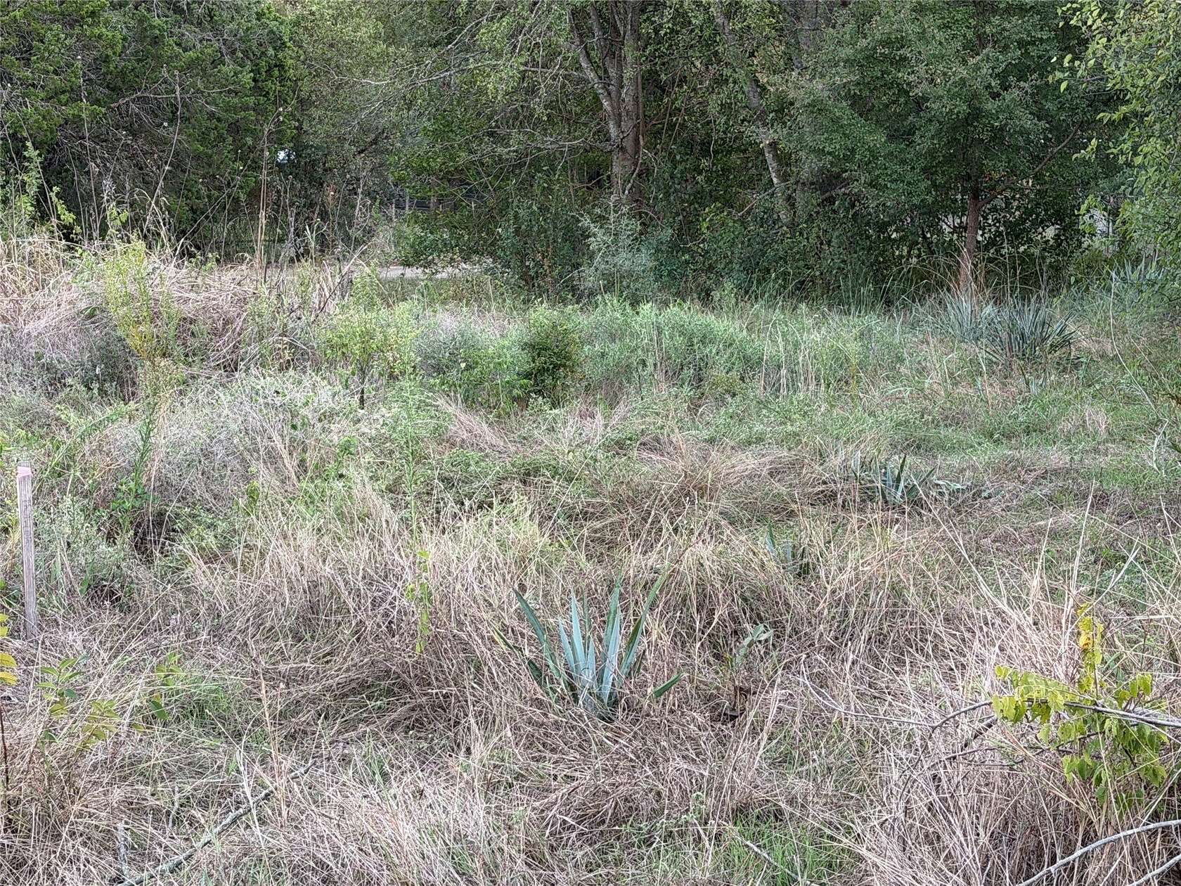 0.14 Acres of Residential Land for Sale in Clifton, Texas