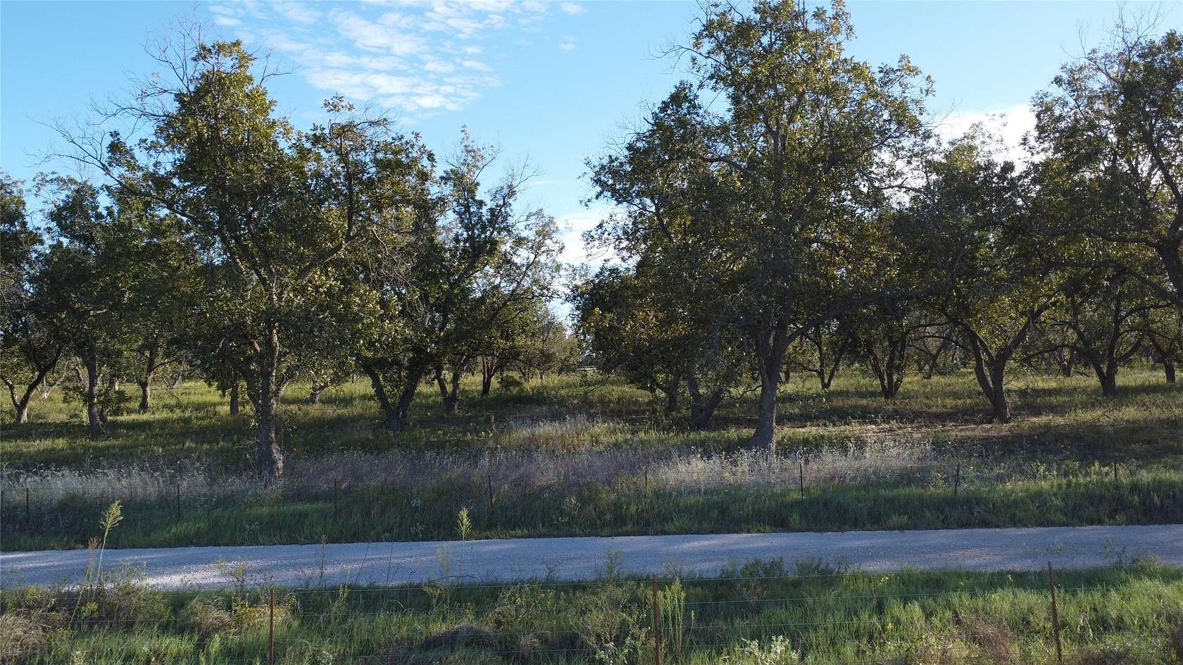 10.6 Acres of Land for Sale in De Leon, Texas