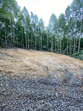 7.7 Acres of Residential Land for Sale in Dunlap, Tennessee