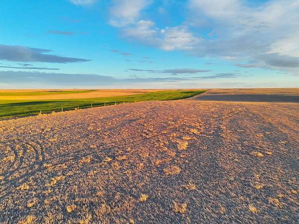 161 Acres of Land for Sale in Bushnell, Nebraska