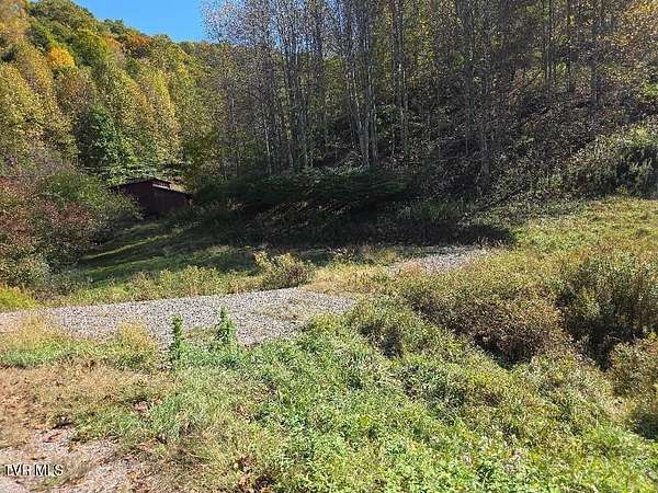 16.5 Acres of Land for Sale in Trade, Tennessee