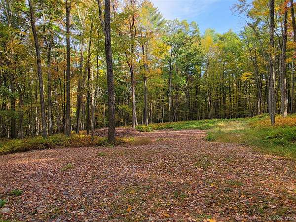 7.23 Acres of Residential Land for Sale in Narrowsburg, New York