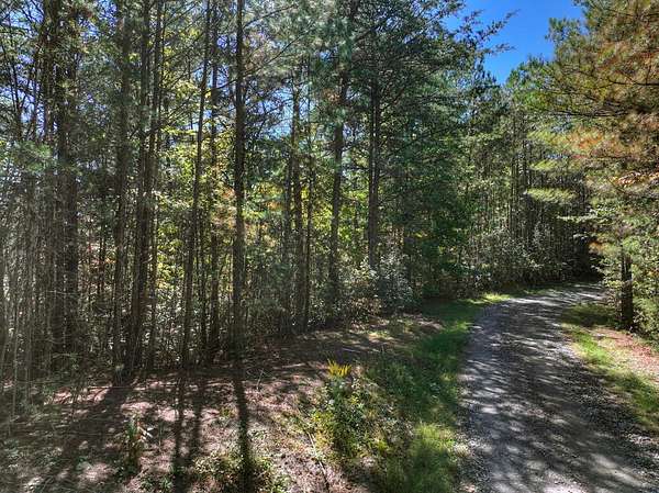 1 Acre of Residential Land for Sale in Turtletown, Tennessee