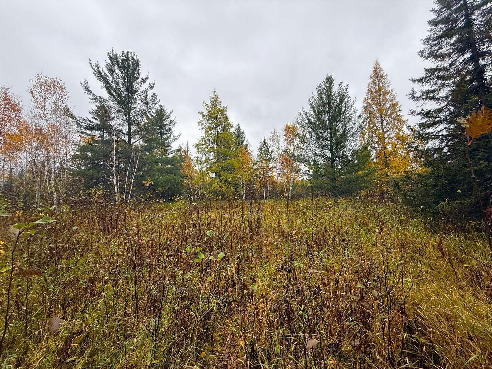 10 Acres of Recreational & Residential Land for Sale in Eveleth, Minnesota